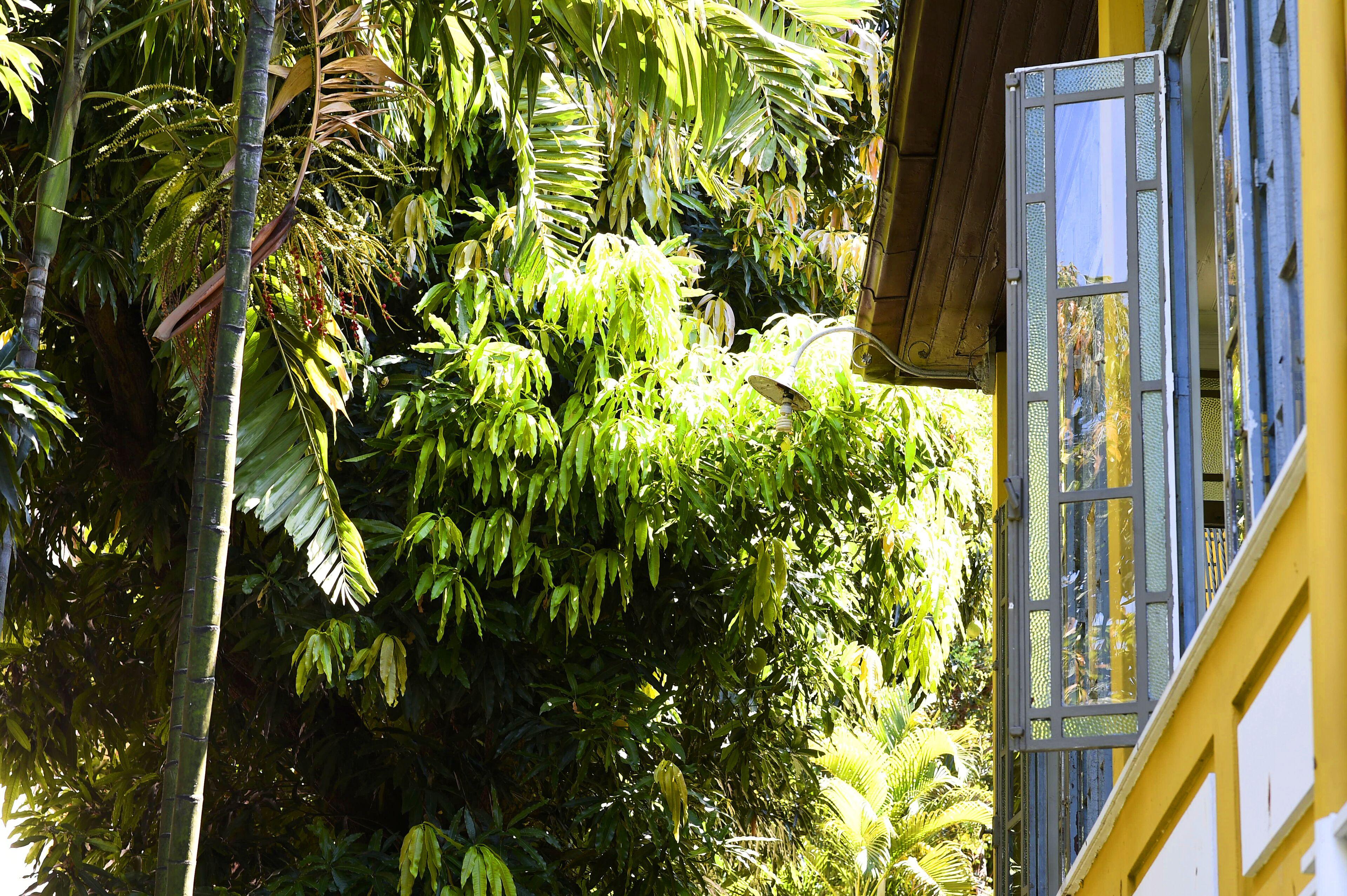 Casa Amarelo Hotel - Rio de Janeiro — Fotos 1